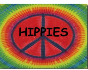 Hippies coworking hostel